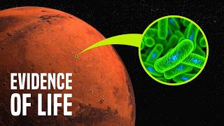 NASA Just Found a Rock That Might Prove Life Once Existed on Mars