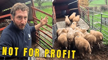 Geld, fouten, honden en deals