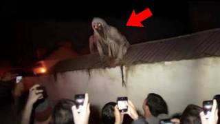 15 Scary Videos Leaving Viewers Too Scared to Sleep