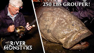 Best Moments and Catches in Oceania | River Monsters
