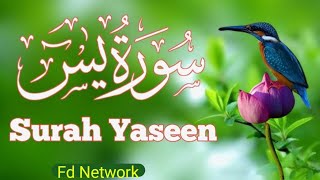 Surah Yasin (Yaseen) Full with arabic text | Yaseen sharif |سورہ یس 36 | Surah Yaseen Recitation |