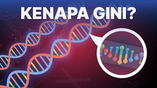 Kenapa Bentuk DNA Kayak Gini?