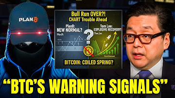 "Is the Bull Run Over? This CHART Means TROUBLE!" - Plan B & Tom Lee