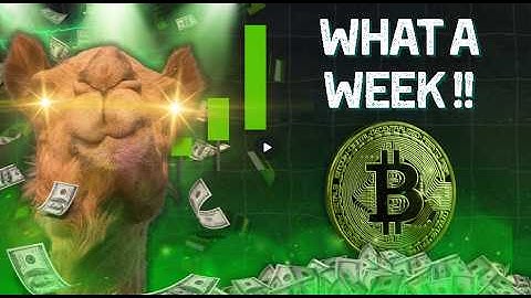 A Fantastic Week for the Camel Crew !!