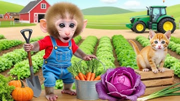 Monkey Nana Drives a Tractor and the costly lesson for the greedy grape thief- NANA MONKEY LIFE