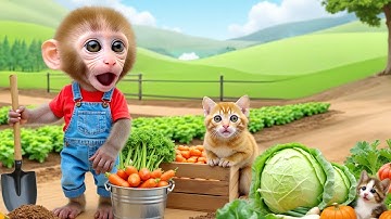 Monkey Nana Drives a Tractor and the costly lesson for the greedy grape thief- NANA MONKEY LIFE