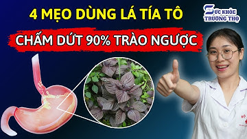 Bí Quyết Từ Lá Tía Tô: Cắt Đứt Trào Ngược “Thần Tốc”, Giảm Co Thắt Dạ Dày Đến Mức Khó Tin!