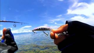 Ultra casting‼️cheap bait killer casting shallow reef - ultralight fishing