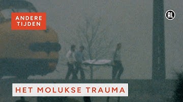 Molukse gijzelingen in de jaren 