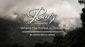 Regeneration Diaries | Documentary