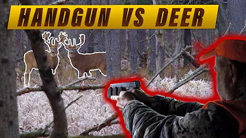 Handguns VS Deer | KILL SHOT Compilation