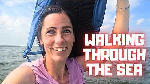 Walking to an Island, Straight Through the Sea! Will We Make It | Friesian Horses