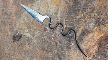 Make a snake knife from scissors