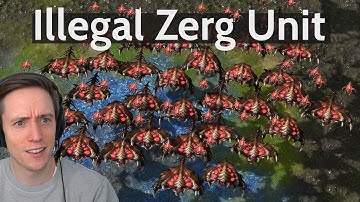 Blizzard BUFFED Brood Lords. This Is What Happened.