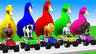 5 Giant Duck Cartoon, Cow, Mammoth, Elephant, Lion, Paint Wild Animals Crossing Fountain Animation