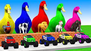 5 Giant Duck Cartoon, Cow, Mammoth, Elephant, Lion, Paint Wild Animals Crossing Fountain Animation