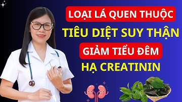 1 Loại Lá Giúp TIÊU DIỆT SUY THẬN, Hạ Creatinine, Hết Tiểu Đêm, Ngủ Ngon Sâu Giấc | Bác sĩ Hương