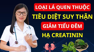 1 Loại Lá Giúp TIÊU DIỆT SUY THẬN, Hạ Creatinine, Hết Tiểu Đêm, Ngủ Ngon Sâu Giấc | Bác sĩ Hương