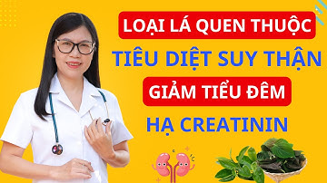 1 Loại Lá Giúp TIÊU DIỆT SUY THẬN, Hạ Creatinine, Hết Tiểu Đêm, Ngủ Ngon Sâu Giấc | Bác sĩ Hương