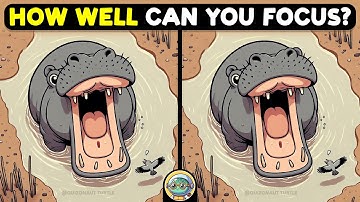 🐢🧩 Find 3 Differences | Mind Training Game 🧩🐢 | Quizonaut Turtle