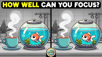 🐢🧩 Find 3 Differences | Mind Training Game 🧩🐢 | Quizonaut Turtle