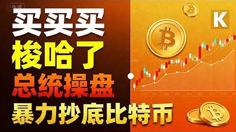 小國總統豪賭國運！薩爾瓦多一夜之間狂掃1000枚比特幣，這是財富自由還是國家破產的開始？#比特幣 #薩爾瓦多 #布克萊 #數字黃金 #以太坊  #火山挖礦 #加密貨幣 #金融革命 #主權數字#btc