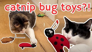 Cats try FUN catnip bug cat toys | amazon cat finds
