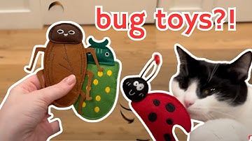 Cats try FUN catnip bug cat toys | amazon cat finds