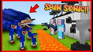 ATUN & MOMON MEMBANGUN RUMAH AMAN UNTUK PEMBALASAN SHIN SONIC TAPES !! Feat @sapipurba Minecraft