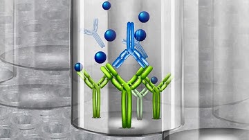 Complete ELISA Workflow for Accurate Results | Invitrogen Kits
