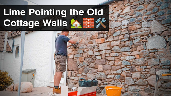 One Wall Down... Many More to Go | Old Cottage Restoration! 🧱🏡🛠️ Our Move to the Country -  Ep46