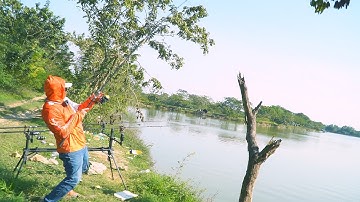 Cách Câu Cá Mè Trắng, Mè Ta Tại Hồ 150k Ở Hà Nội