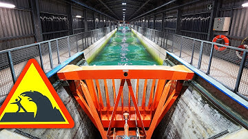 Rogue Wave created by Wave Generator