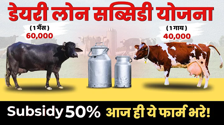 Dairy Farm Loan & Subsidy 2025 Loan + Subsidy Ki Puri Jankari