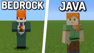 Minecraft Java & Bedrock Differences