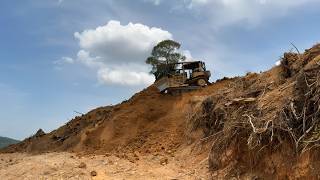 Extreme Bulldozing! CAT D6R XL Clears a New Path Through Barren Plantation Land