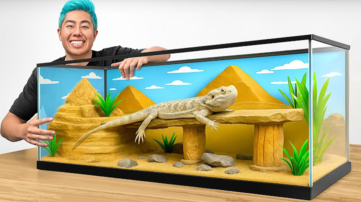 I Built an EXTREME Home For My Lizard!