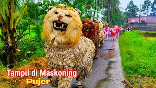 SERU ‼ Can macanan singo raung cilik di undang acara khitan sampai diguyur hujan tampil di maskoning