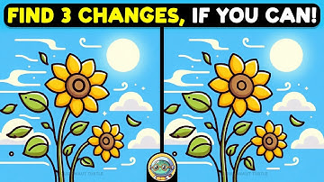 🐢🧩 Spot The Difference | Puzzle Power Hour 🧩🐢 | Quizonaut Turtle