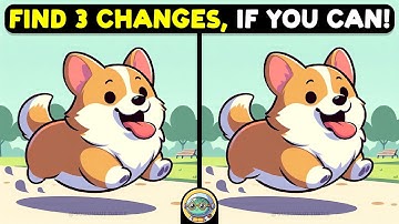 🐢🧩 Spot The Difference | Puzzle Power Hour 🧩🐢 | Quizonaut Turtle