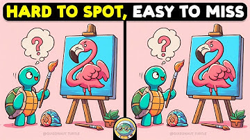 🐢🧩 Spot 3 Differences | Sharpen Your Focus 🧩🐢 | Quizonaut Turtle