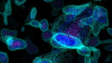 3D Noise Isosurface, "The Core" Virgil, 100M points, Nvidia 4090 GPU