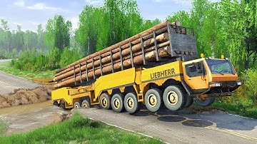 REAL DANGER Driving Logging Trucks Across Rivers EXPOSED