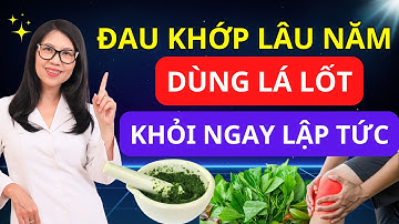 Thực Hư Chuyện Lá Lốt Chữa Được Đau Nhức Xương Khớp - Sự Thật ít Ai Biết I Dr Hương