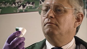 Người vợ ngoại ô mất tích và người hàng xóm biết quá nhiều