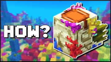 Minecraft - Hoe krijg je de zeldzame koraalzombie Nautilus (Bedrock/Java)