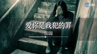 田园 - 爱你是我犯的罪「你说爱我你真的很累」【🎧AI高质音乐/拼音歌词 Eng Lyrics】