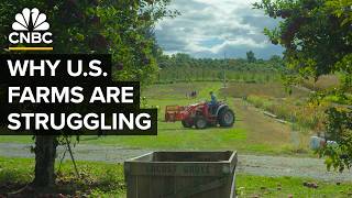 Why The U.S. Isn’t Growing Enough Food