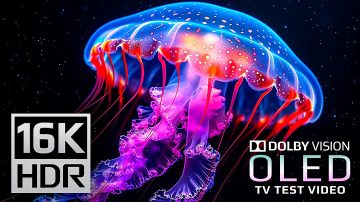 Best of 16K HDR 120 FPS (Dolby Vision) - Ultra HD OLED Test