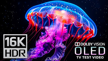 Best of 16K HDR 120 FPS (Dolby Vision) - Ultra HD OLED Test